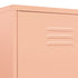 Lady Jillian -  Wardrobe Pink 90x50x180 cm Steel